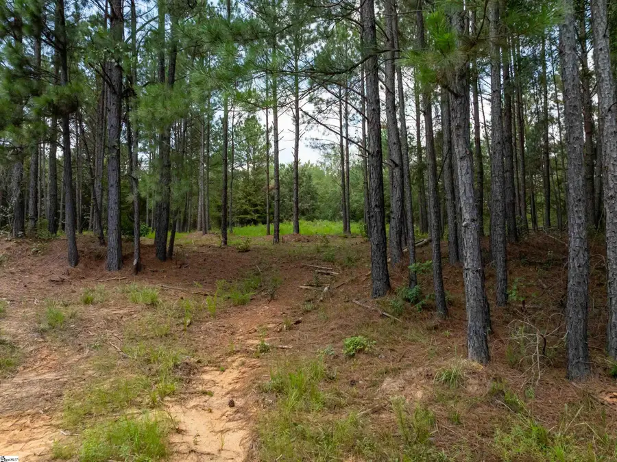 05 Neal Shoals Road, Union, SC 29379 - Image #3