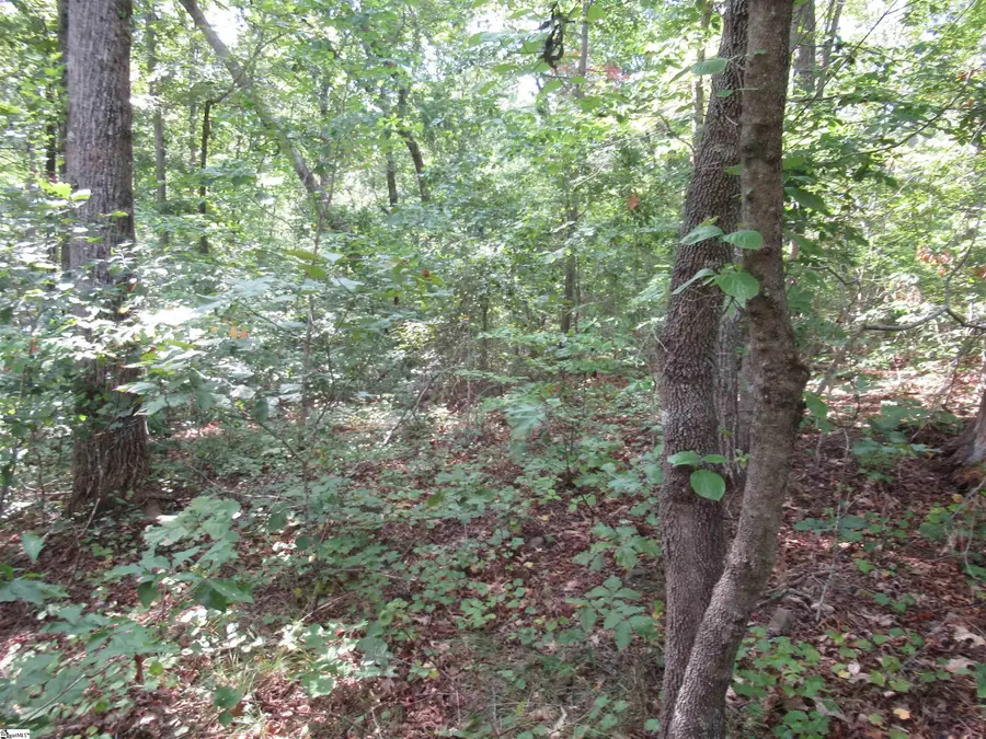 706 Scharlin Drive, Pickens, SC 29671 - Image #3