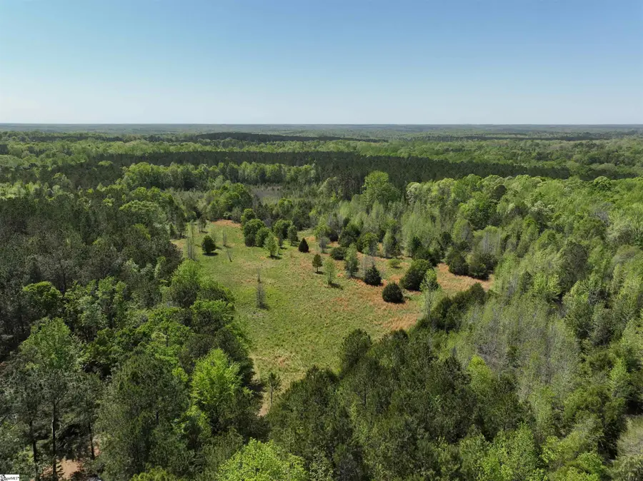 1 Potato House Road, Gray Court, SC 29645 - Image #2