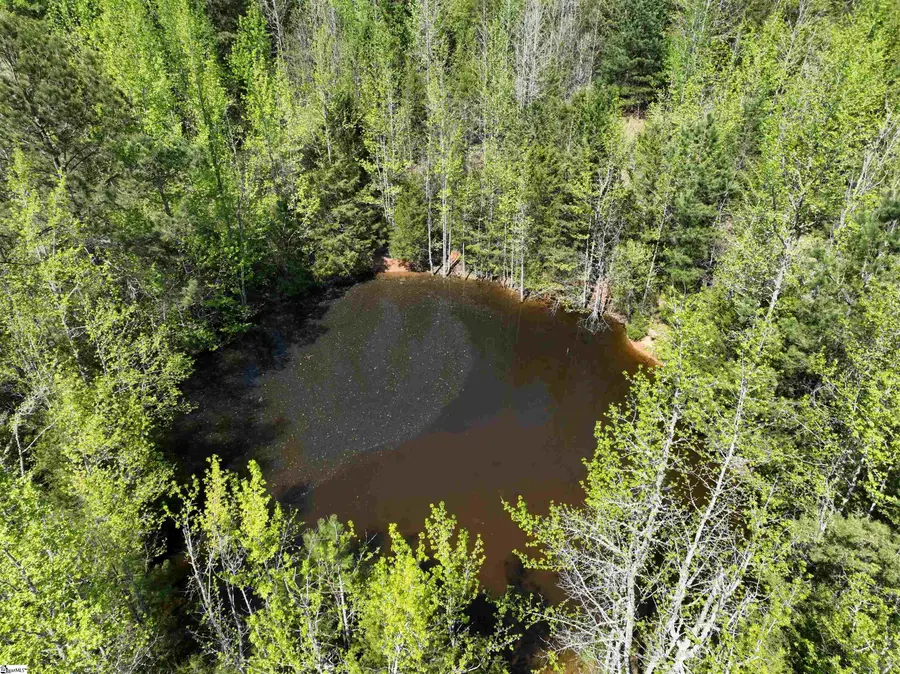 1 Potato House Road, Gray Court, SC 29645 - Image #3