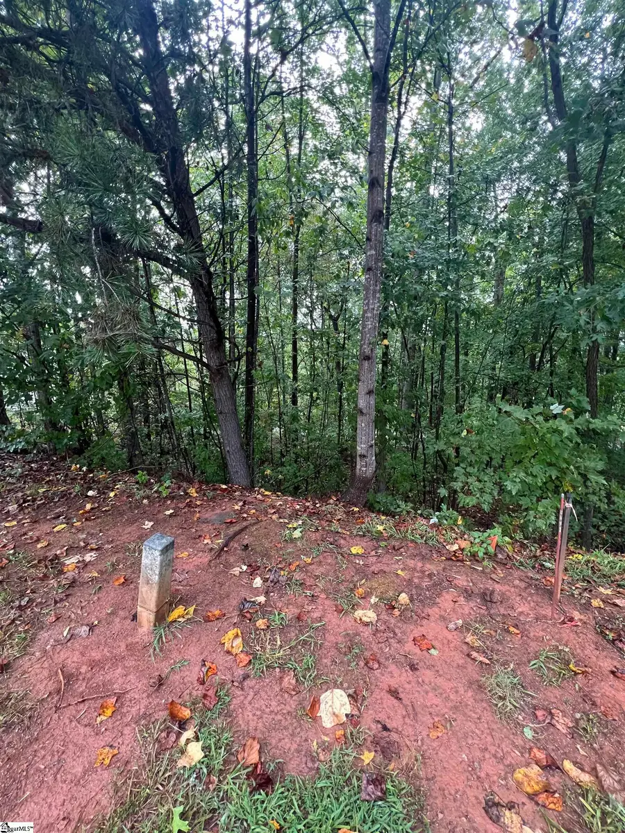 228 Laurel Valley Way, Travelers Rest, SC 29690 - Image #3