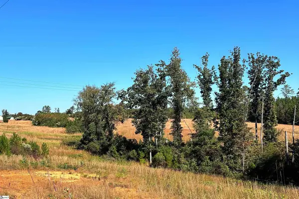 00 Riverfork Road, Waterloo, SC 29384