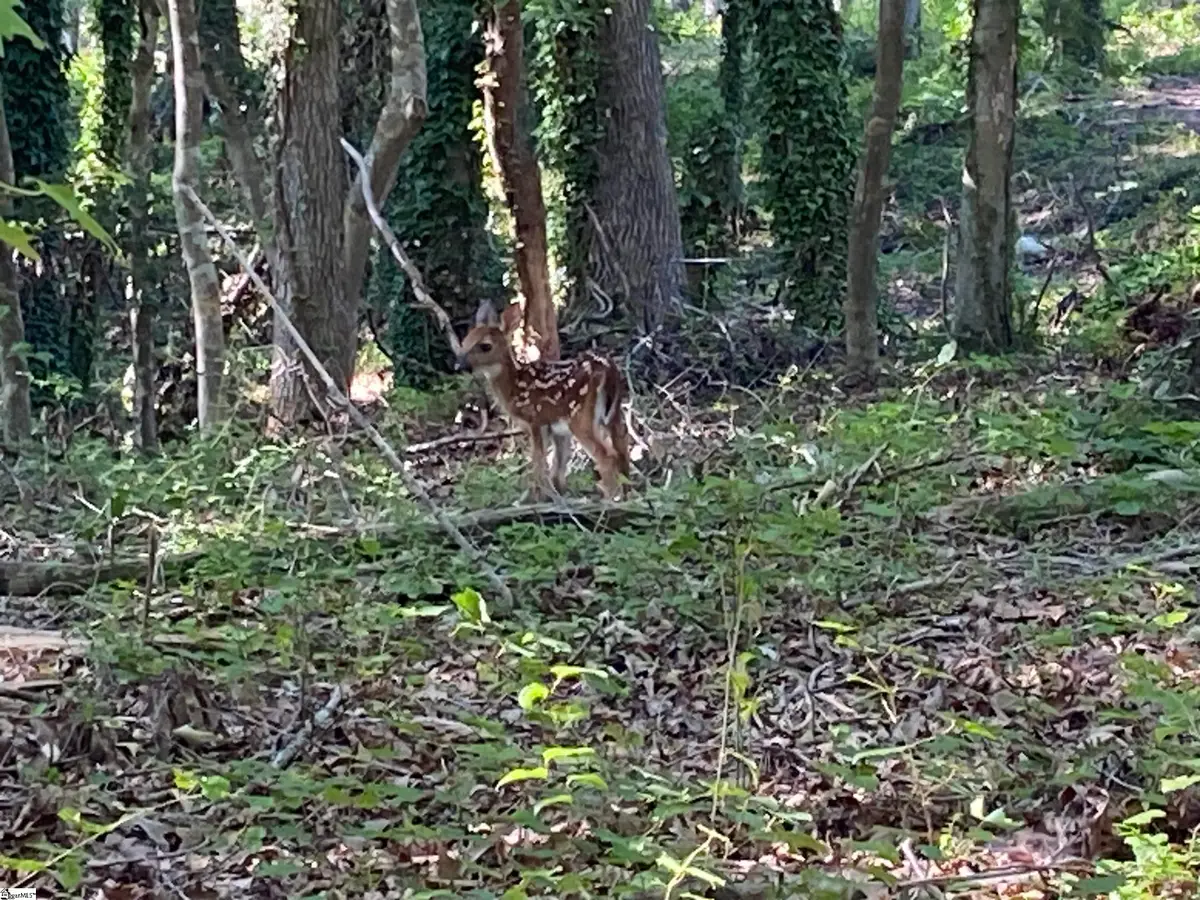 1 E Mcgee Street, Honea Path, SC 29654 - Image #1