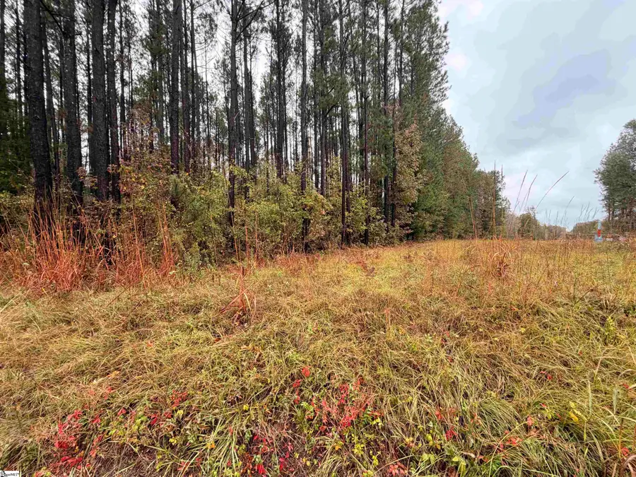 00 Beech Springs Road, Pelzer, SC 29669 - #3