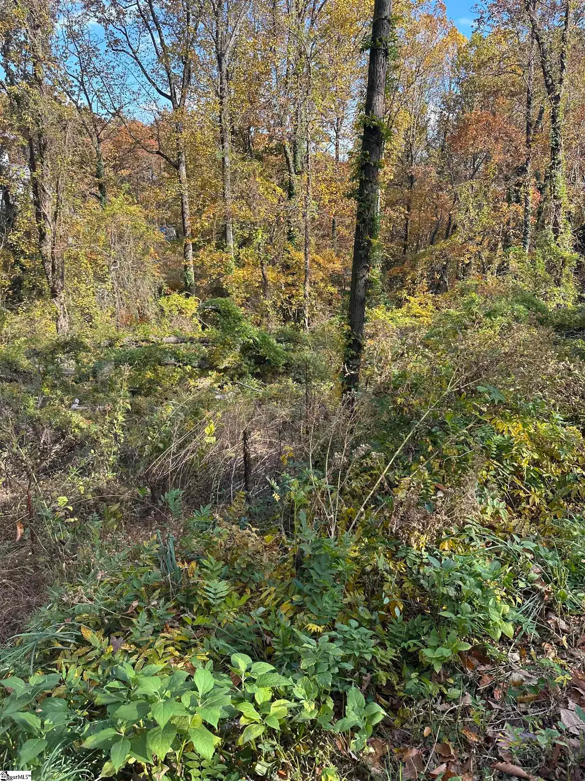 00 Altamont Road, Greenville, SC 29609 - Image #1