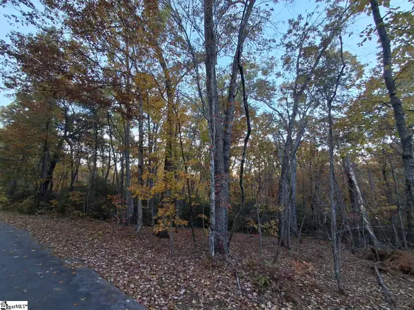 0 Eastview Drive, Pickens, SC 29671