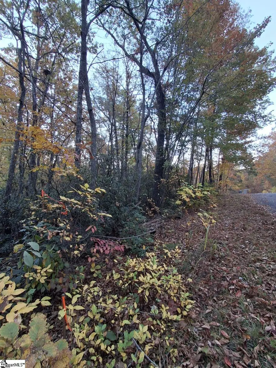 0 Eastview Drive, Pickens, SC 29671 - Image #2