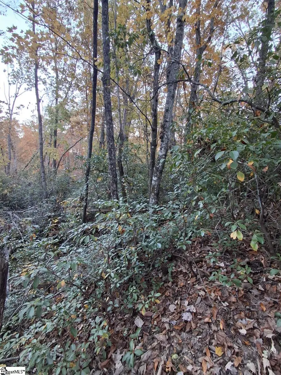 0 Eastview Drive, Pickens, SC 29671 - Image #3