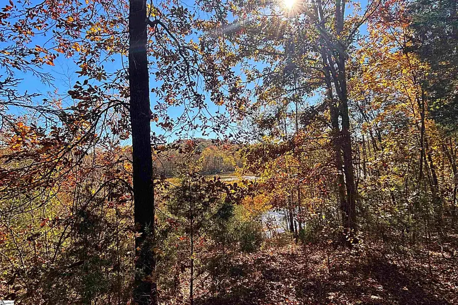 45 Deer Meadows Road, Laurens, SC 29360 - Image #3