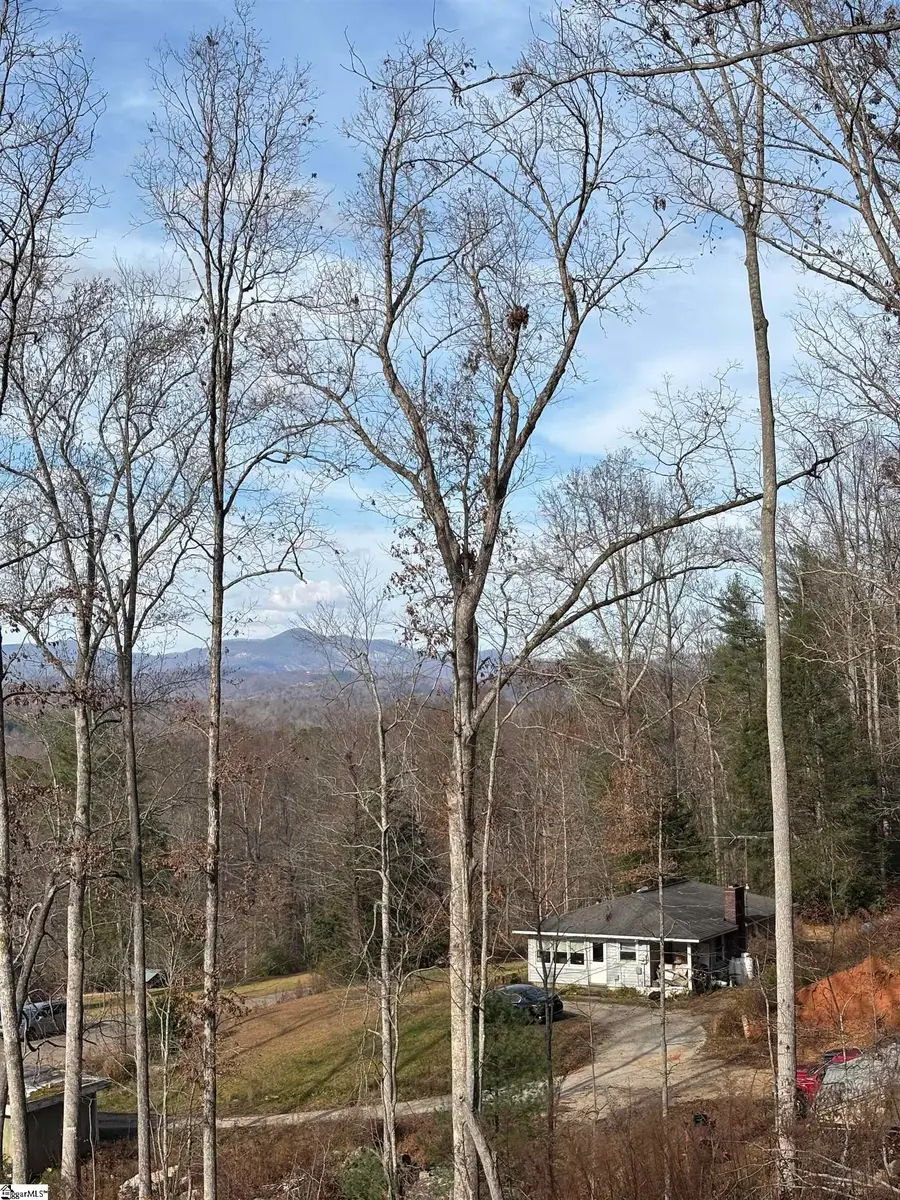 163 Red Hill Road, Pickens, SC 29671 - Image #2