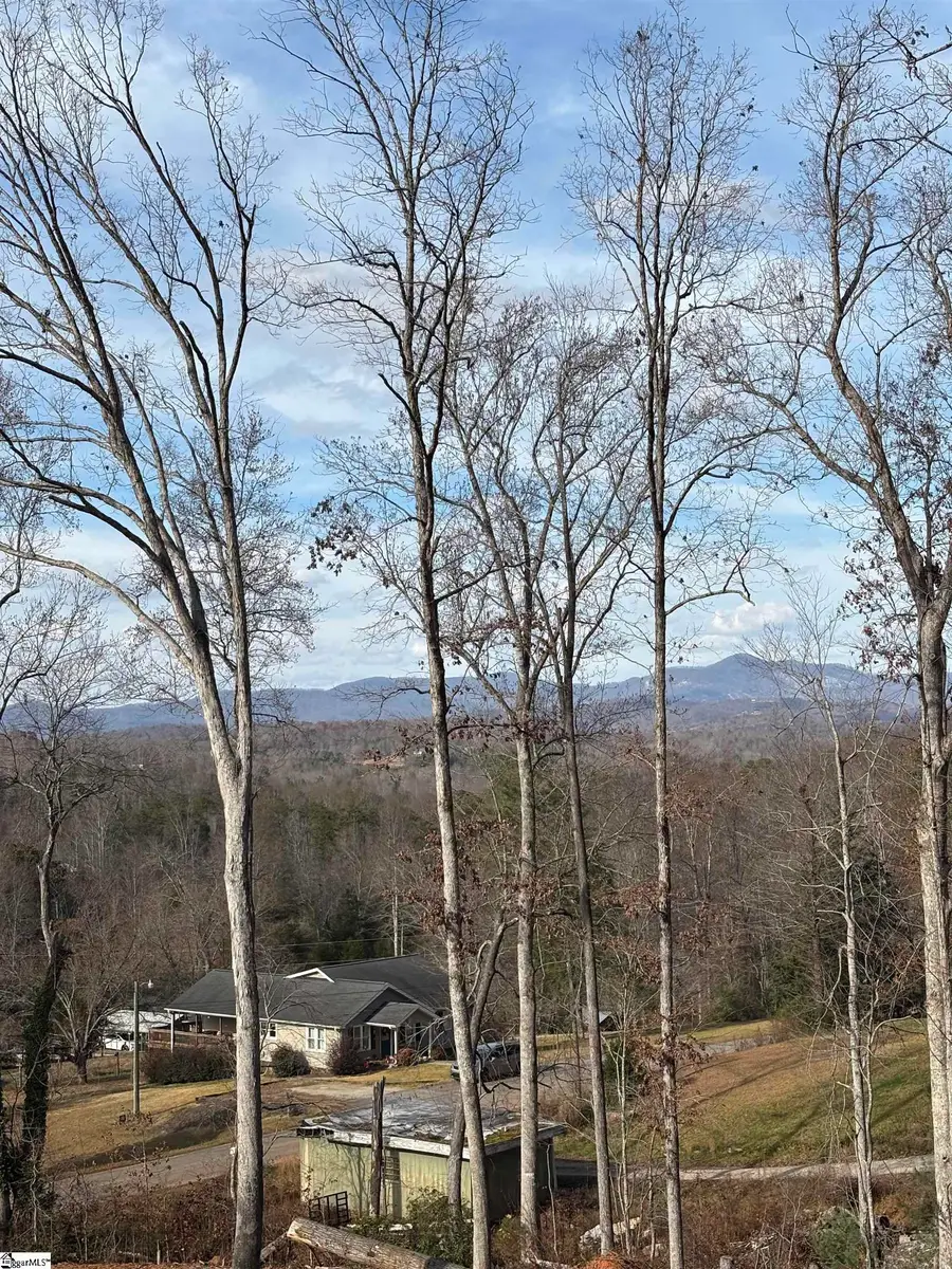 163 Red Hill Road, Pickens, SC 29671 - Image #3