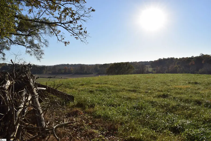 Highway 414, Taylors, SC 29687 - Image #2