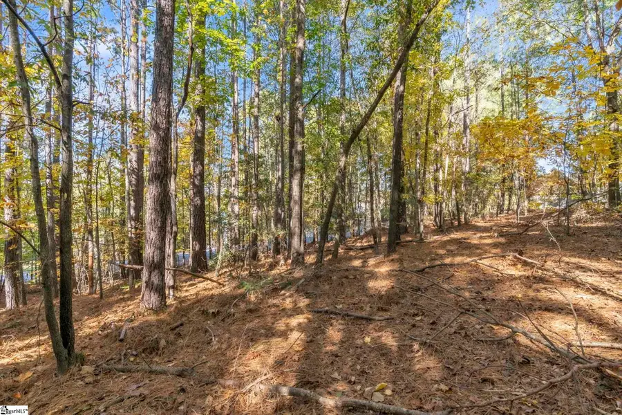 Lot 202 Shorewinds Court, Seneca, SC 29672 - Image #2