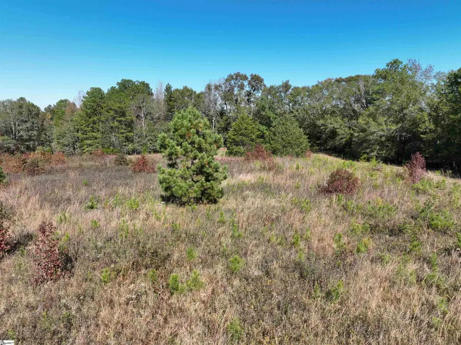 43 Joe Burton Road, Honea Path, SC 29654 - Image #3