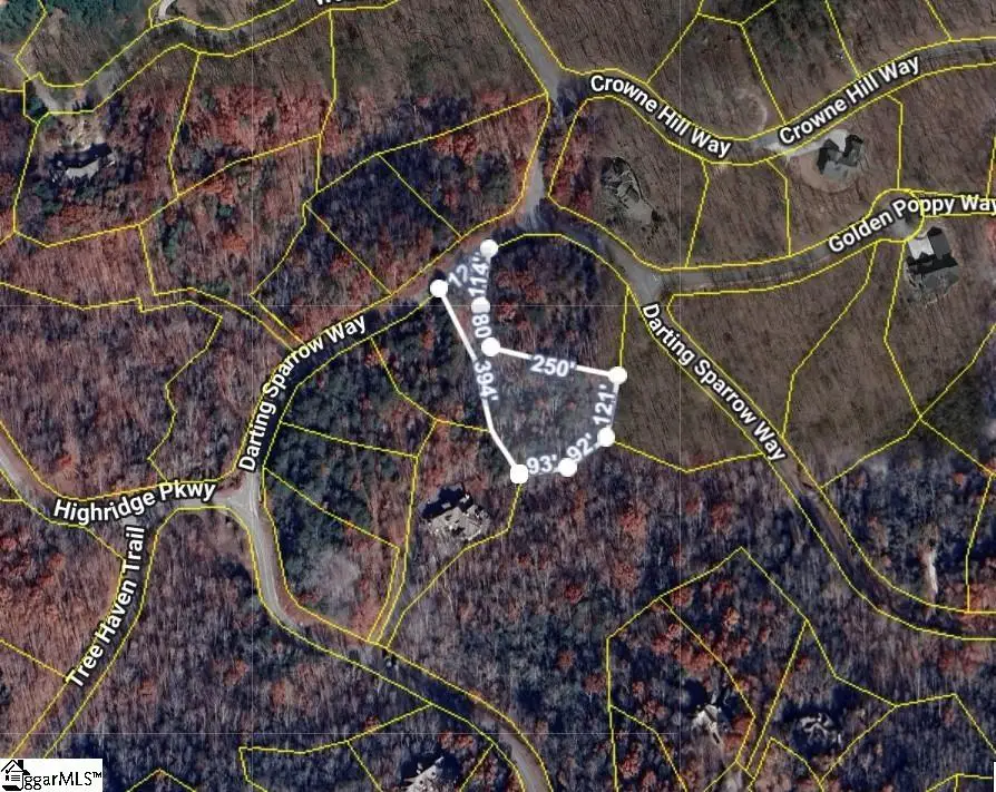 40 Darting Sparrow Way, Marietta, SC 29661 - Image #1