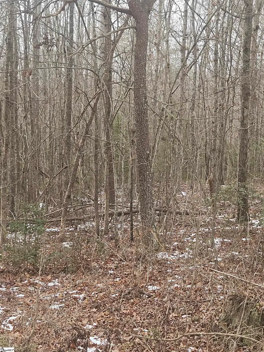 00 Chandler Road, Easley, SC 29640 - #2