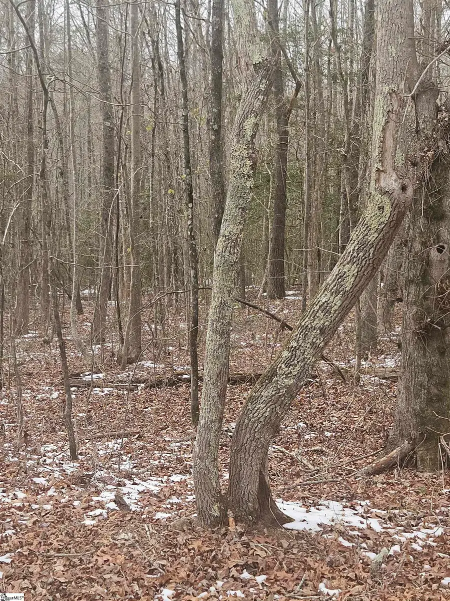 00 Chandler Road, Easley, SC 29640 - #3