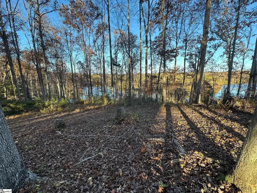 644 Buck Creek Road, Chesnee, SC 29323 - Image #2