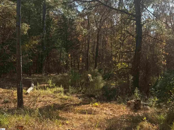 1206 Cheek Circle, Gray Court, SC 29645