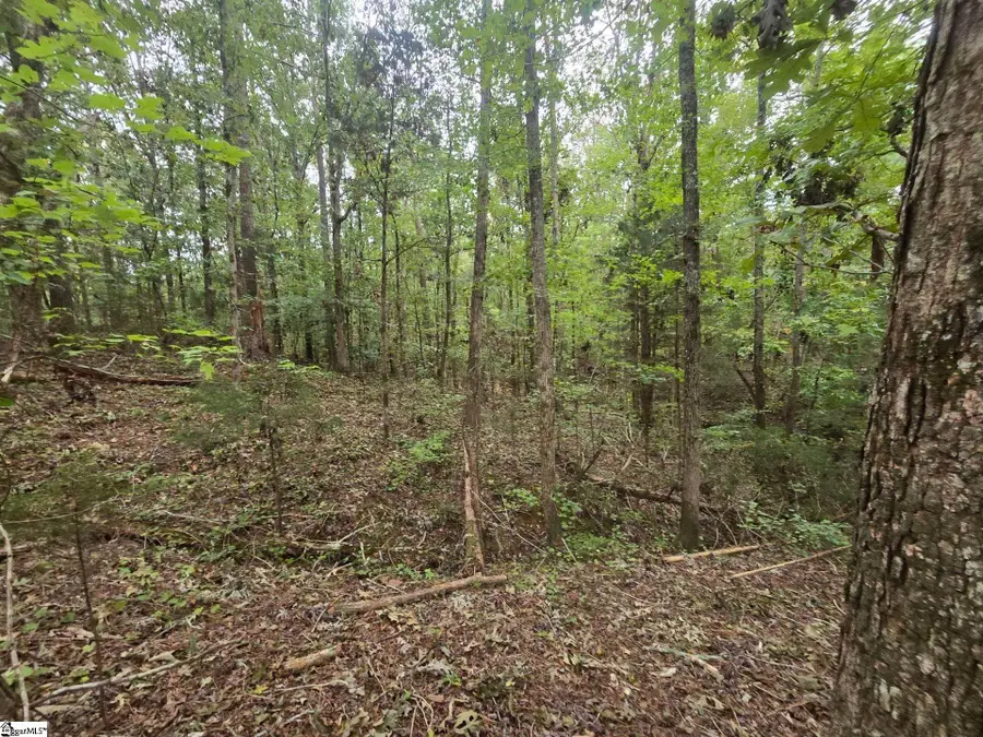 1206 Cheek Circle, Gray Court, SC 29645 - Image #3