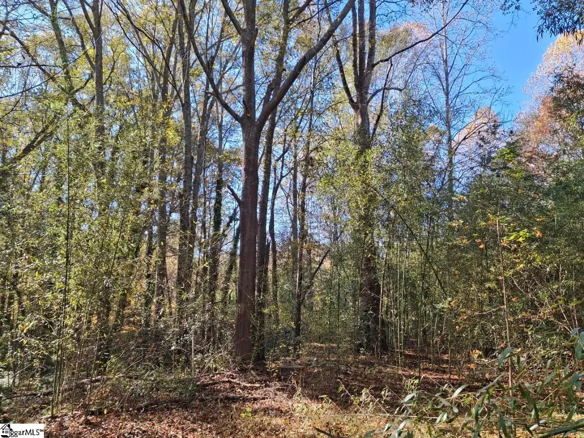 198 Black Snake Road, Easley, SC 29640 - Image #1