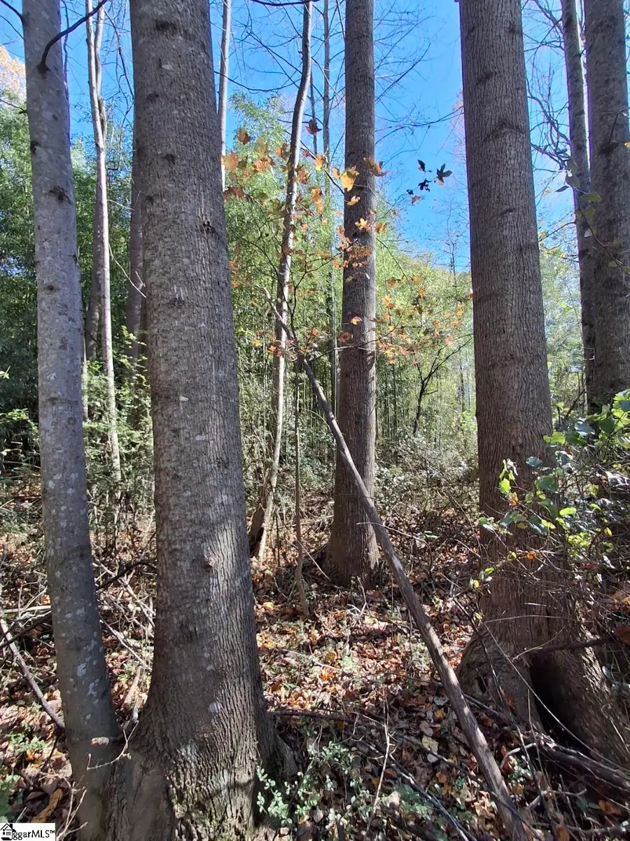 198 Black Snake Road, Easley, SC 29640 - Image #3