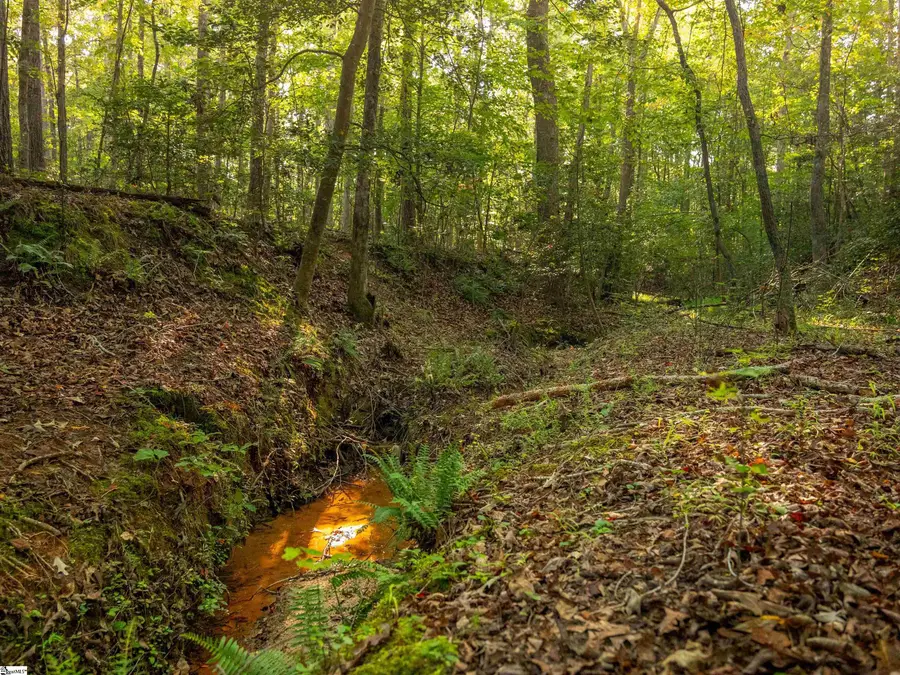 01 Spring Valley Road #Lot 1, Liberty, SC 29657 - Image #2