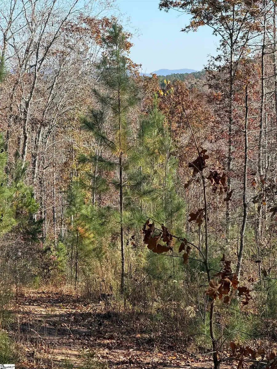 TBD Alexander Road, West Union, SC 29696 - #2