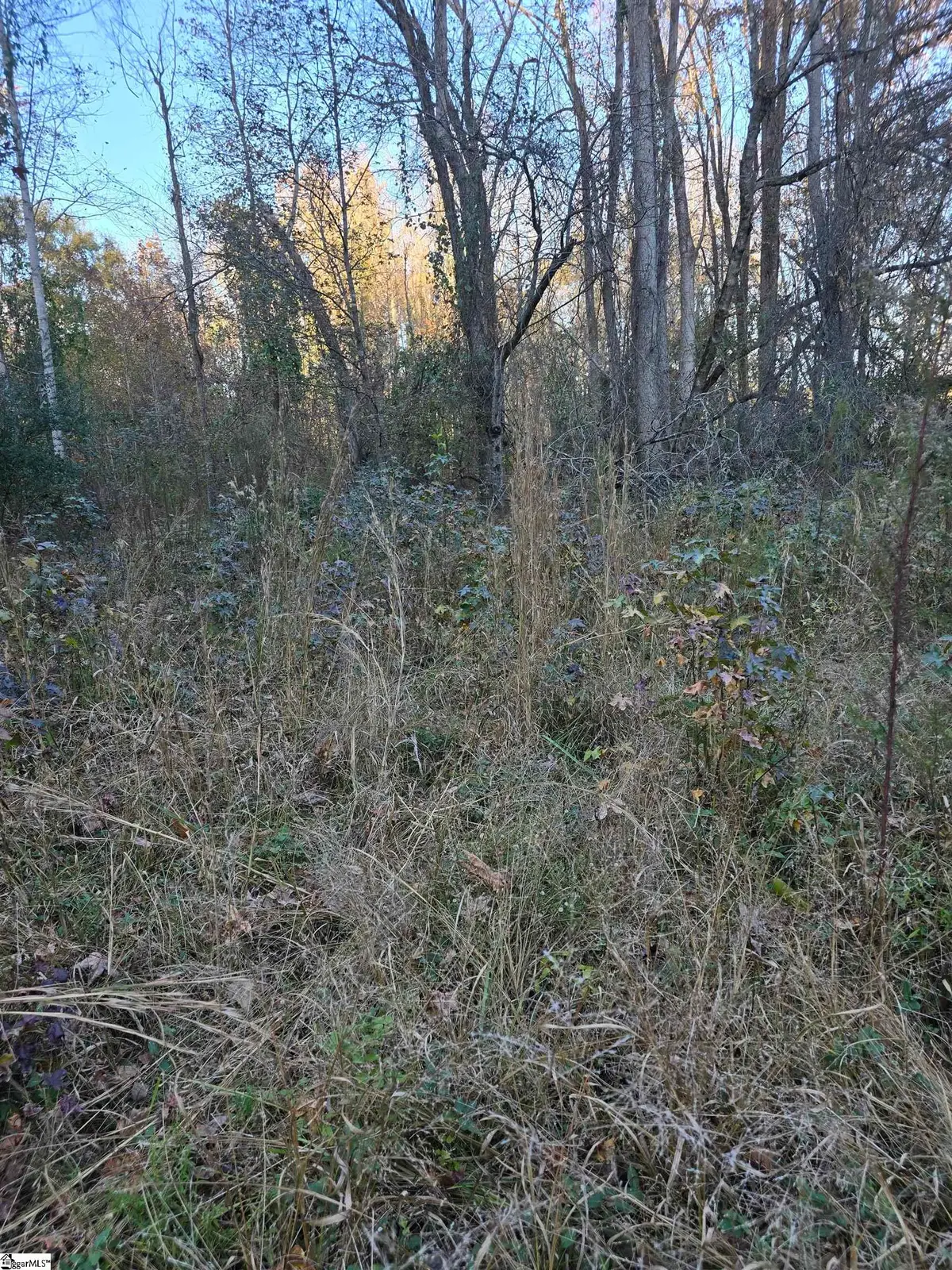 0 Graham Chapel Road, Cowpens, SC 29330 - Image #1