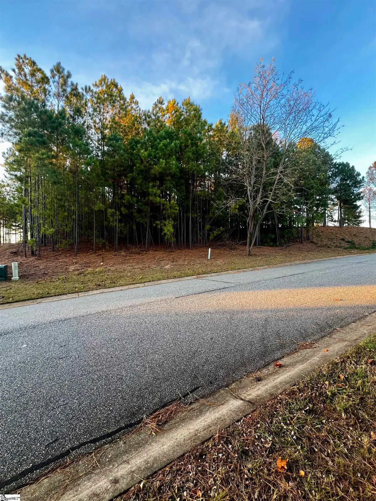 108 Ryder Cup Drive, Travelers Rest, SC 29690 - Image #1