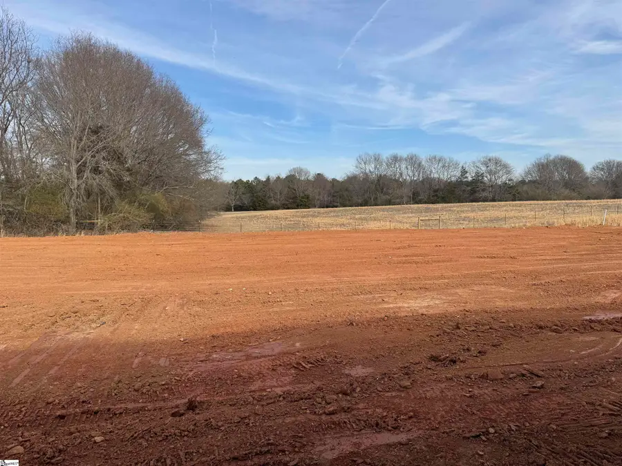 103 Birch Horizon Avenue, Simpsonville, SC 29681 - #3