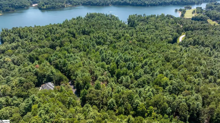 111 Sweetshrub Way, Sunset, SC 29685 - Image #3