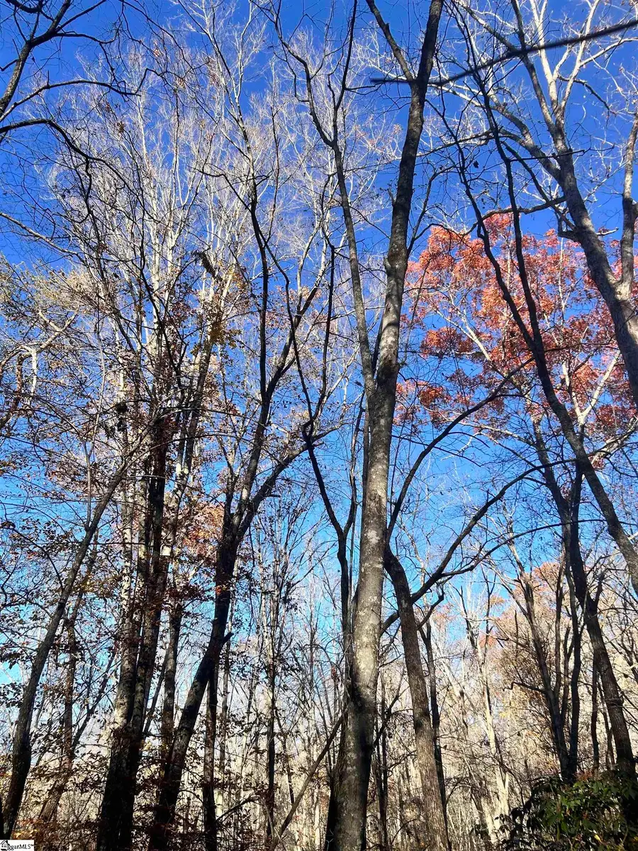 00 Sc-11 Highway, Travelers Rest, SC 29690 - Image #3