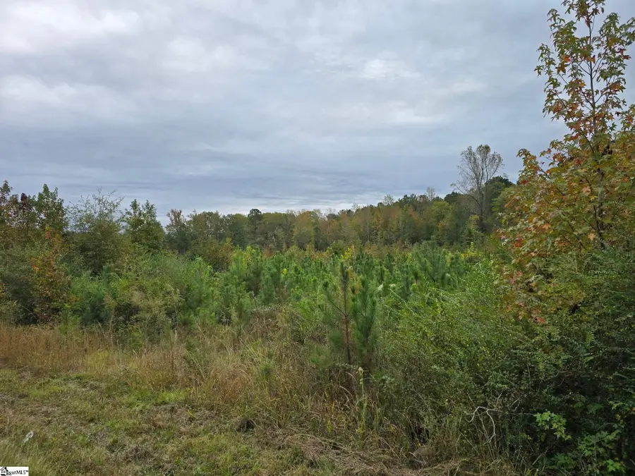 0 E Highway 378, Wellford, SC 29385 - Image #2