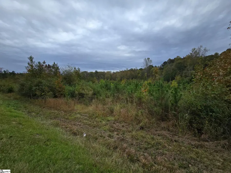 0 E Highway 378, Wellford, SC 29385 - Image #3