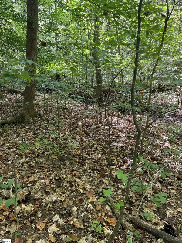 Address Withheld By Seller, Easley, SC 29642