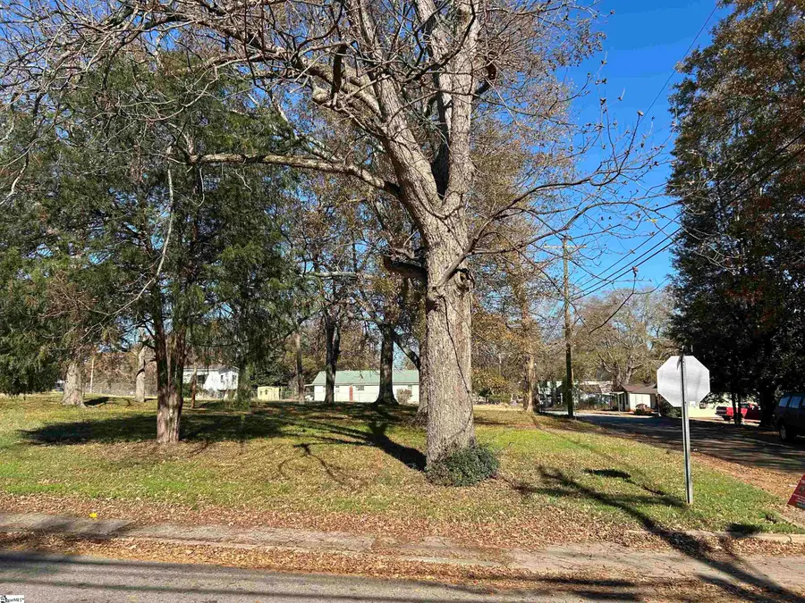 0 Jersey Street, Laurens, SC 29360 - Image #2
