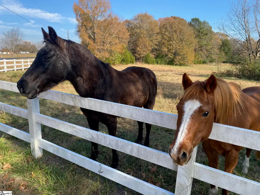 00 252 Highway, Laurens, SC 29360 - Image #2