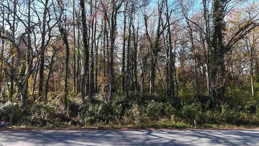 0 Betsy Drive #Lot 1, Woodruff, SC 29388 - Image #2