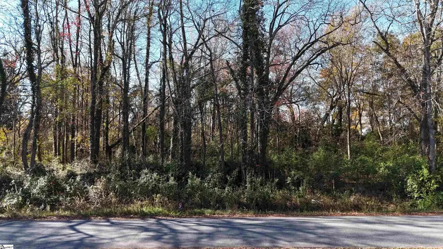 00 Betsy Drive #Lot 2, Woodruff, SC 29388 - Image #3
