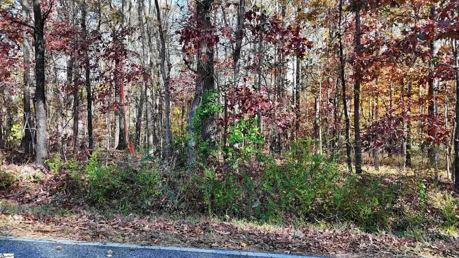 00000 Poplar Street #Lot 4, Woodruff, SC 29388 - Image #2