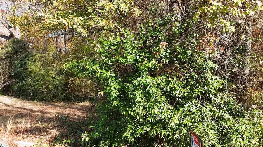 000000 Poplar Street #Lot 3, Woodruff, SC 29388 - Image #2