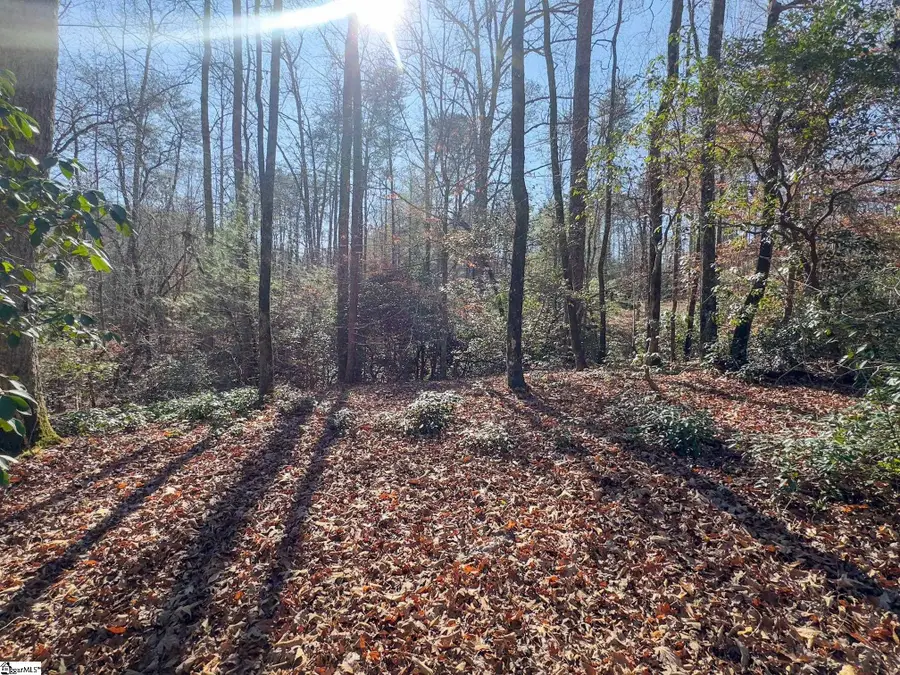 912 Hidden Hollow Trail, Travelers Rest, SC 29690 - Image #2