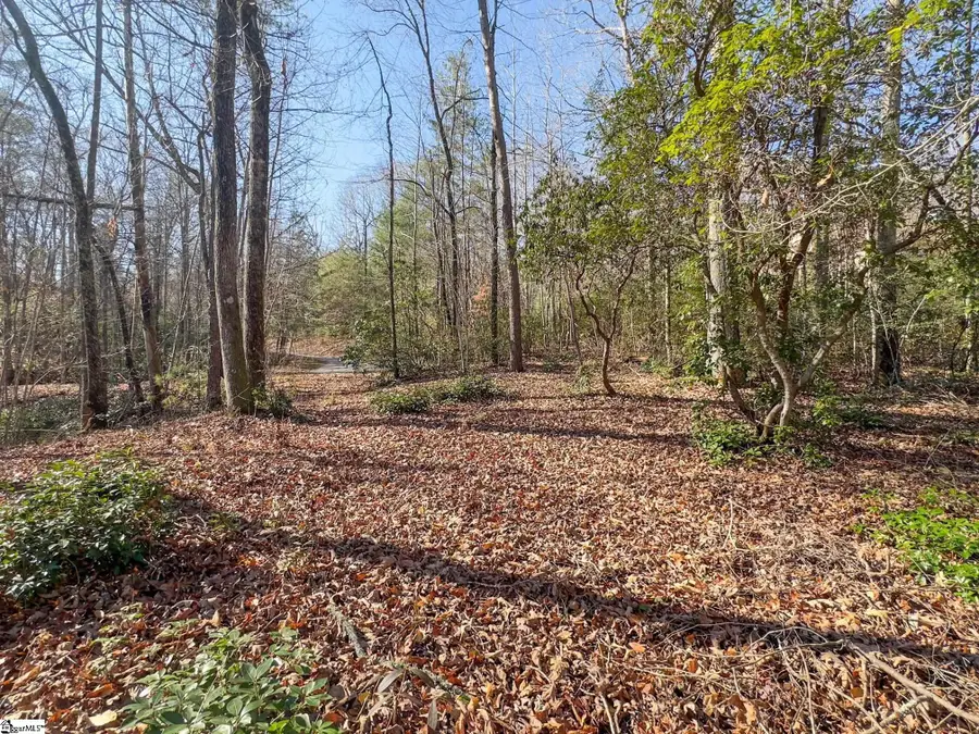 912 Hidden Hollow Trail, Travelers Rest, SC 29690 - Image #3