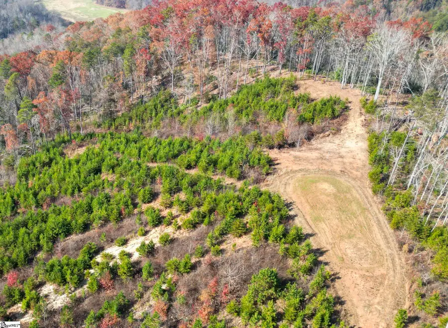 0 Skyland Drive, Marietta, SC 26661 - Image #3