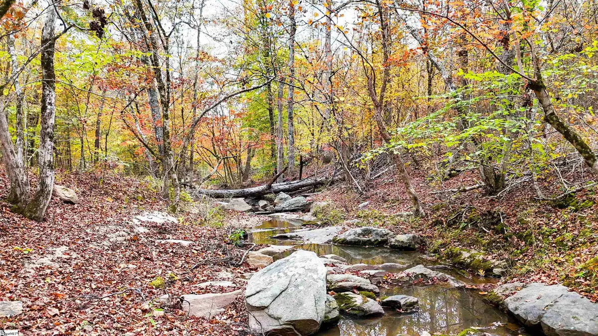 0 Sulpher Springs Road, Waterloo, SC 29384 - Image #1