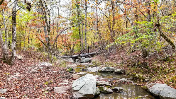 0 Sulpher Springs Road, Waterloo, SC 29384