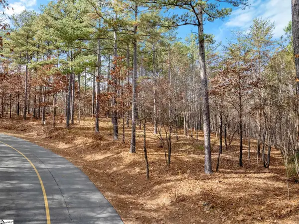 311 Golden Bear Drive, Sunset, SC 29685