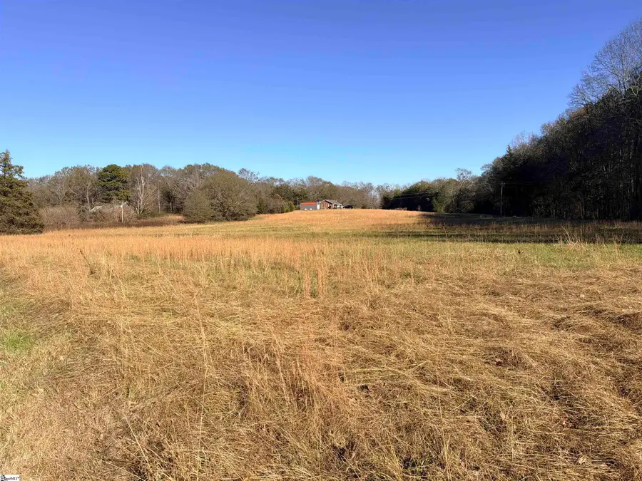 00 Highway 101 #Lot 4, Woodruff, SC 29388 - Image #3