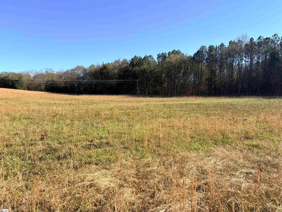 0 Highway 101 #Lot 1, Woodruff, SC 29388 - Image #3